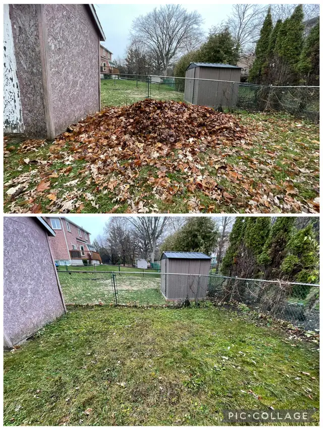 Leaf Removal601409090340136962