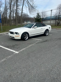 2008 Ford Mustang