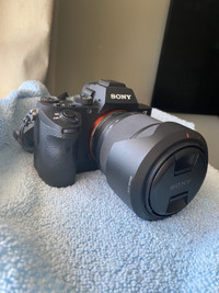 Sony A7ii with FE 28-70 mm lens
