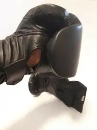 Paire de gants de boxe Genesport 12 oz. (excellent état)