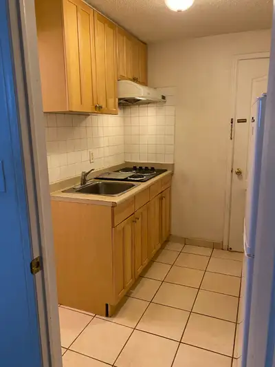 Bachelor suit in basement; available for rent immediately for only single occupancy. It includes spa...