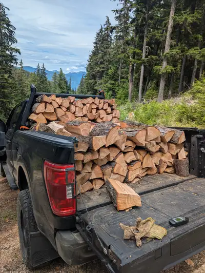 Firewood - 1/2 cord of split, dry Hemlock, View more