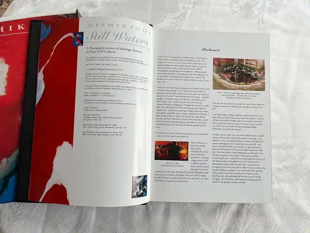 Still Waters – Deluxe Hardcover by Nigel M.W. Caddock in Other in City of Toronto - Image 4