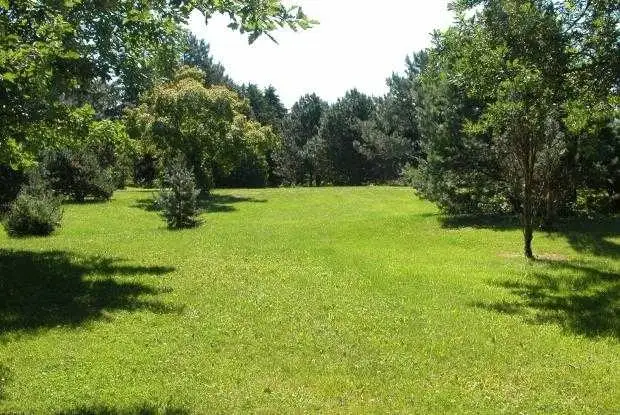 lawn mowing62865710204929121