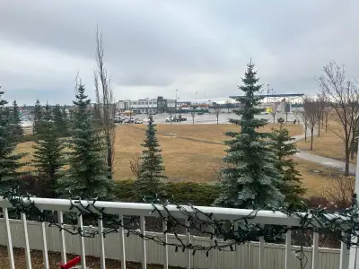 2Bed 1 Bath - apartment 260 A spruce ridge road, spruce grove , T7X 0A1( near Tri Leisure Centre) 1...
