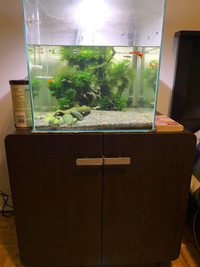 aquarium 40 gallons 