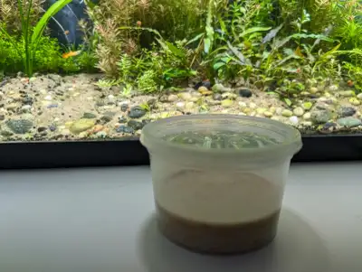 Live Fish Food - Microworm Culture, Best price in Ottawa, $8.99., View more