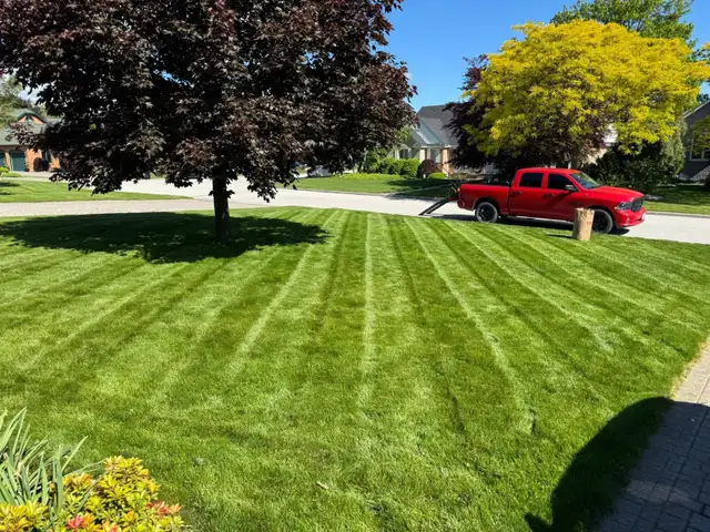 Grass Cutting441533317514547202