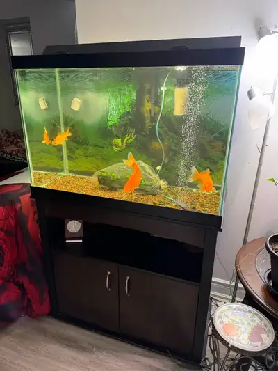 65 gallon aquarium, View more