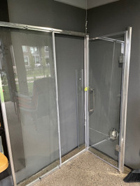 Shower door