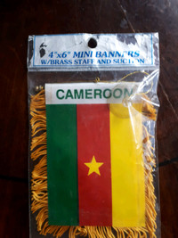 Cameroon Mini Banner