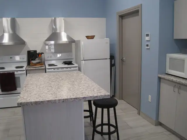 Summer residence for ladies - perfect location in Room Rentals & Roommates in Ottawa - Image 4
