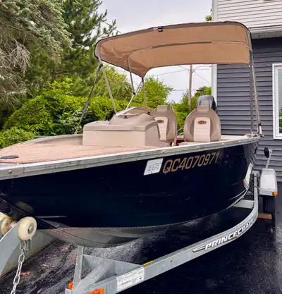 Bateau de pêche et promenade Princecraft Resorter DLX SC 2013 16 pi moteur Mercury 40ELPT EFI 4S Ave...