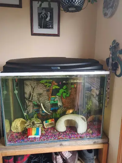 35 gallon aquarium. No stand. Comes with basic filter, heater, bubbler and rocks at the bottom if wa...