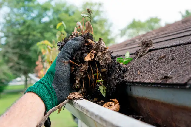 THE GUTTER DOCTOR! Exterior Services. Gutter Clean/Fix/Install62863246137091121