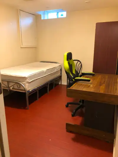 Newly renovated basement in (Scarborough)Morning Side/ finch areas 1 Bedroom (each room separately)w...