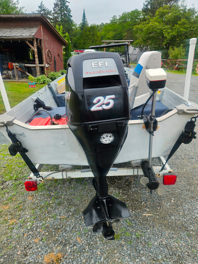 14 FOOT STARCRAFT BOAT, TRAILER, 25 MERCURY 4 STROKE in Powerboats & Motorboats in Sudbury - Image 3