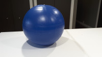 Ballon d'exercice TOGO de 65 cm