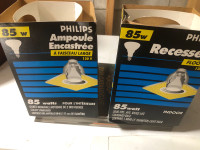 Philips 85w Recessed flood lights