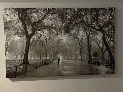 The image is a black and white photograph titled "Poet's Walk" by Henri Silberman. Helpful informati...