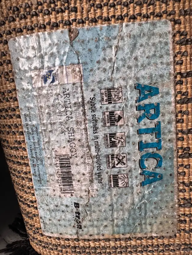 Area Rug in Rugs, Carpets & Runners in Ottawa - Image 4