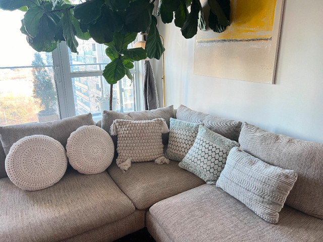 Assorted white cushions/ but all $20 or $5 per cushion in Home Décor & Accents in City of Toronto - Image 4