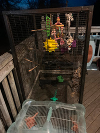 Bird cage and accessories