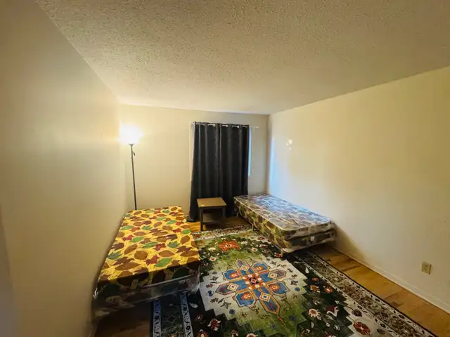 Private Rooms for Rent in Downtown Ottawa in Room Rentals & Roommates in Ottawa - Image 7