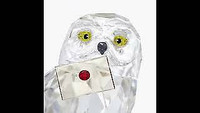 SWAROVSKI Crystal Figurine  ~  HARRY POTTER  ~  HEDWIG Snowy Owl