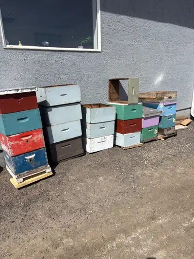 bee hives, View more