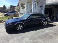 Mustang GT convertible