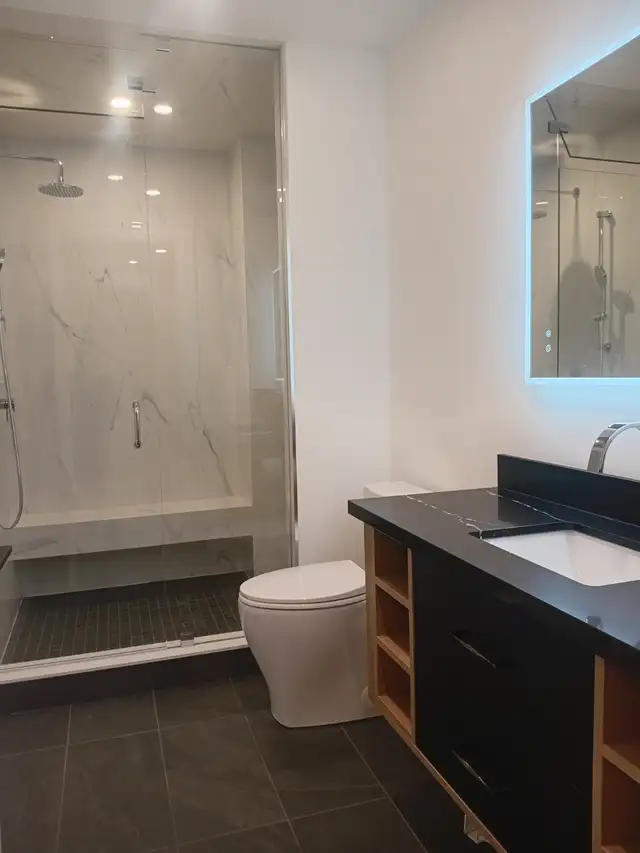 Huge Basement for Rent - Oakville in Room Rentals & Roommates in Oakville / Halton Region - Image 8