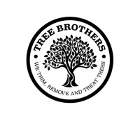 Tree Brothers tree service