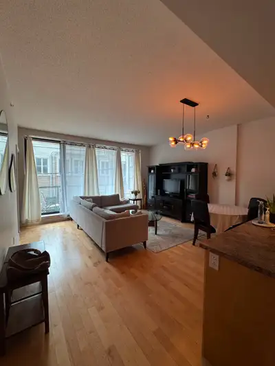 Grand 3 1/2 700pi2 Meublé Gym – George V / Montcalm