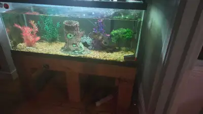 fish tank and stand 75-80 gallons  idk, View more