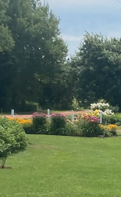 Experienced Landscaper  with  Roto Tiller,  Ch'town and Area, View more