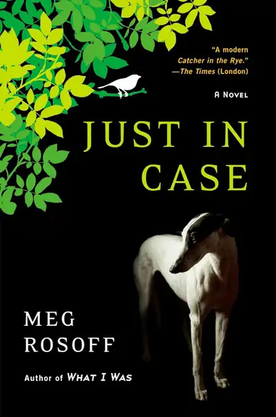 Just in Case fiction novel book, View more