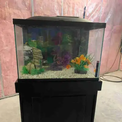 looking for 55 gallon fish tank and stand. , View more