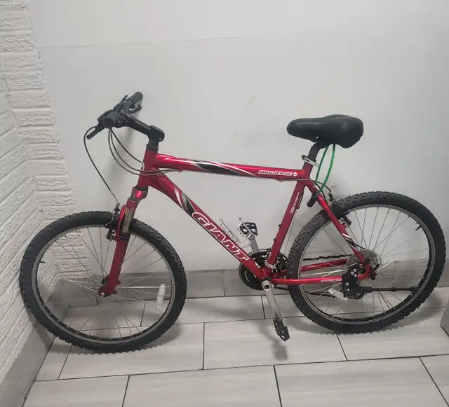 Giant Mountain bike