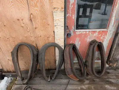 bourrure pour chevaux (24"), View more