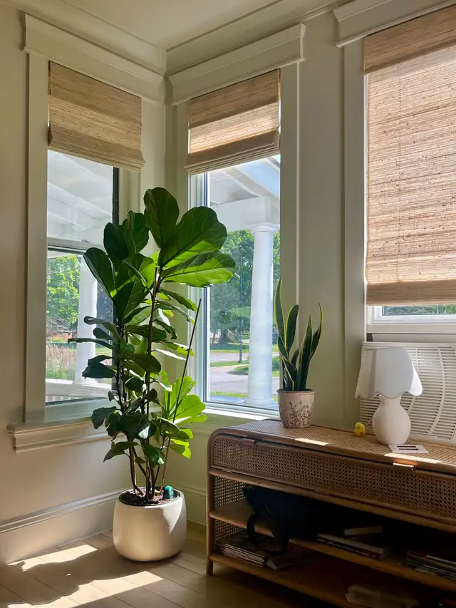 Renovations-Handyman503559746005258242