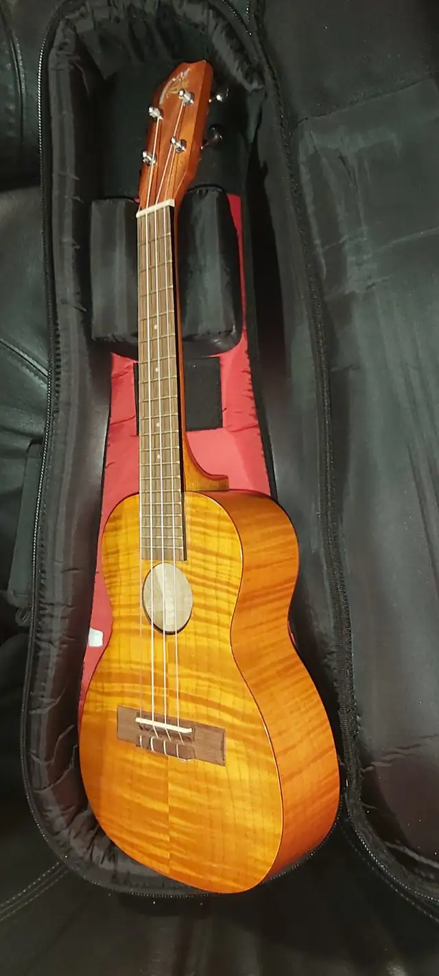 Ukulele + Padded Bag (Have several) in String in Lethbridge - Image 4