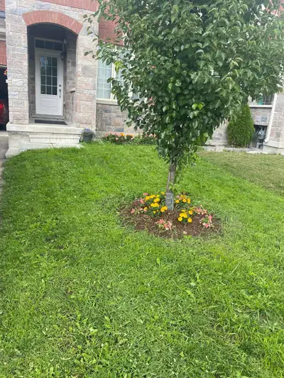 Few Years Old Town In East Gwillimbury Newmarket + Newly renovated - 1734 Sq Ft - 3 Bedroom And 4 Ba...