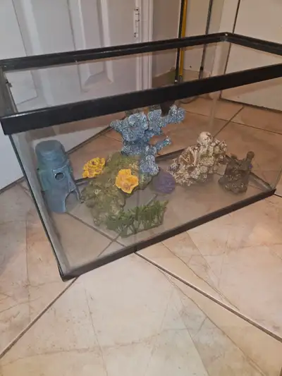 10 tallon tank + accessories, decor, View more