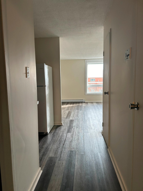 South End Bachelor Apartment Available  May 1st!!! in Long Term Rentals in City of Halifax - Image 2