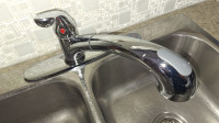 Stainless steel sink + Delta pull-out faucet