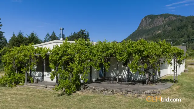 73.67 Acre Olive Farm For Sale - Salt Spring Island, BC - CLHbid in Land for Sale in Cowichan Valley / Duncan - Image 10