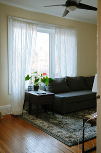 Little Italy Furnished 3 Bed 1 Bath Apartment Sublet