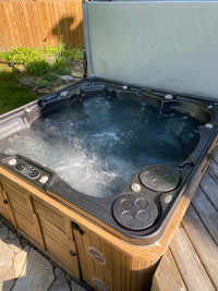 Hydropool Hot Tub For Sale