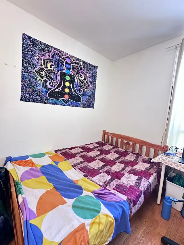 immediate sharing accommodation downtown Toronto